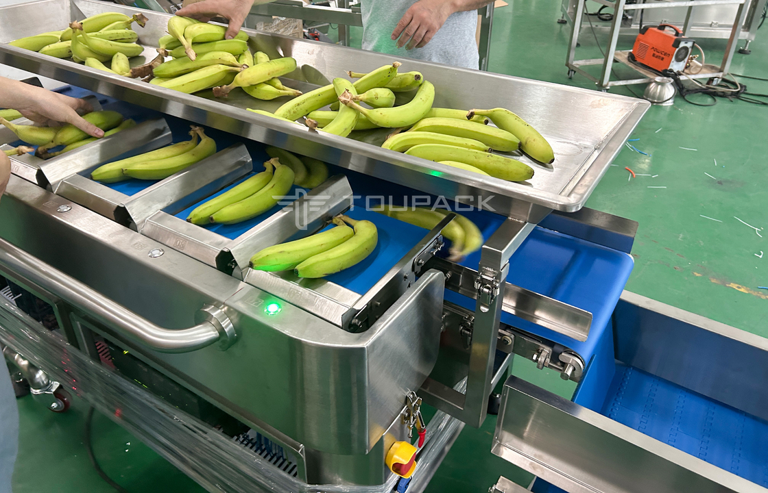 Fabrik Industrie Semi-Auto Mesh Net Bag Gewichtung Zählen Netting Schneiden Verpackungsmaschine Für Bananenfrucht