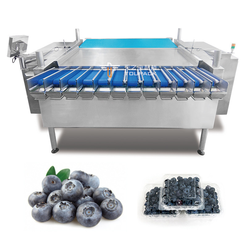 Automatische Passionsfrucht Kumquat Winter Jujube Plastikbox Verpackungsmaschine Blackberry Wiegen Füllverpackungslinie