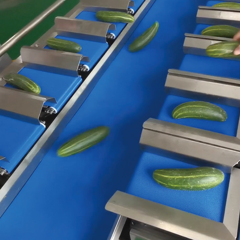 Trockene Mango Automatische Mehrstation Gürtelfördermaschine Aquatische Meer Gurke Fischfillet Tischplatte Zielgewicht Gegengewicht Maschine
