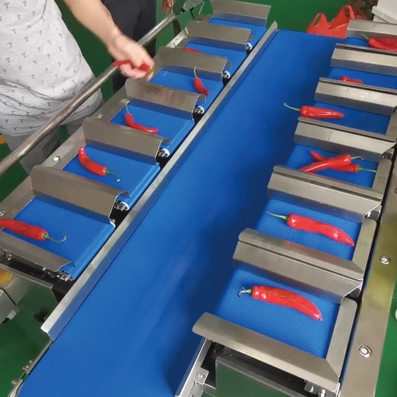 Trockene Mango Automatische Mehrstation Gürtelfördermaschine Aquatische Meer Gurke Fischfillet Tischplatte Zielgewicht Gegengewicht Maschine