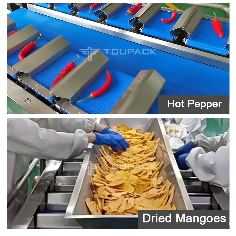 Fruchtwaage Automatische Kombinationswaage Quantitatives Gegengewicht Wäger Kontrollgewicht Förderwaage Gürtel