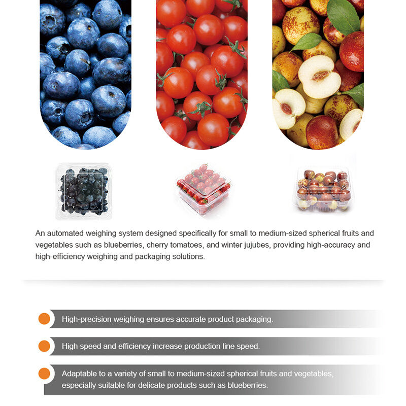 Linearwaage, automatische Versiegelungsverpackungslinie für Kirschtomaten, Obst und Gemüse mit hochpräzisem Wiegesystem