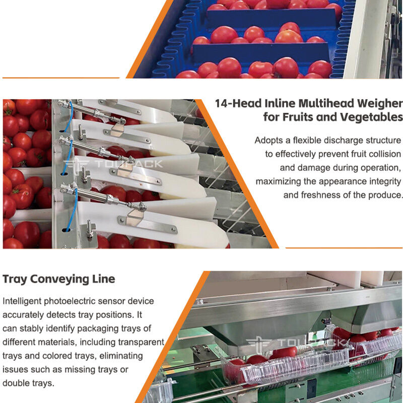 Linearwaage, automatische Versiegelungsverpackungslinie für Kirschtomaten, Obst und Gemüse mit hochpräzisem Wiegesystem