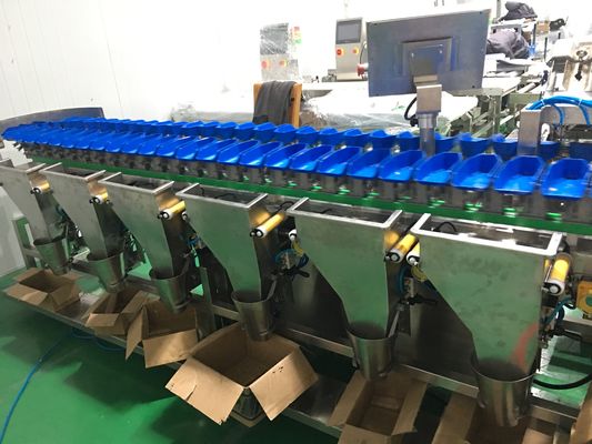 Waterproof 12 Grades Multihweight Sorter Machine For Fresh Food Fish / Sausage / Yolk