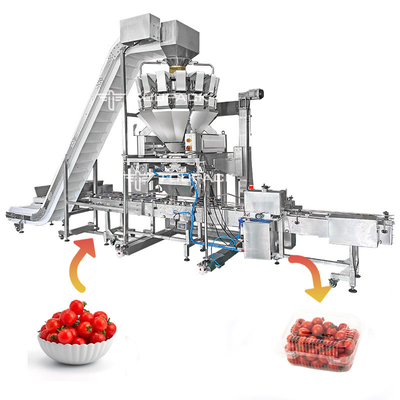 Tomaten-wiegendes und boxendes Kartonierungssystem der justierbare Plattform-automatische Füllmaschine-110BPM