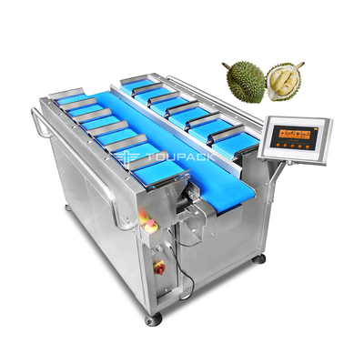 Gefrorener getrockneter Durian trocknete Mango-Frucht Multihead-Wäger-Kombinations-Ausrüstungs-manuelle Gurt-Art