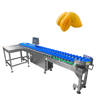 Automatische Größen-sortierende Maschine des Edelstahl-304 für das Mango-Frucht-Gemüse-Ordnen