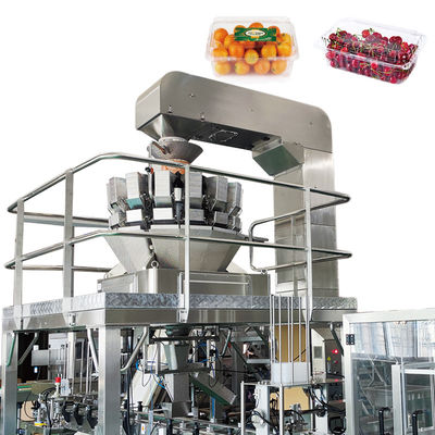 Genauigkeit automatischer Multihead-Wäger-Servomotor, der Frucht-Gemüse-Salat-Verpackungsmaschine fährt
