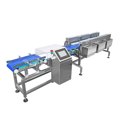 Automatisches Förderband Gewichtssortiermaschine Lebensmittel Industriefördermaschine