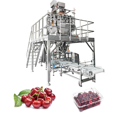 Automatische Fruchtverpackungsmaschine Apfelkirsche Tomatenkonserven Verpackung Kumquat Tray Verpackungsmaschine