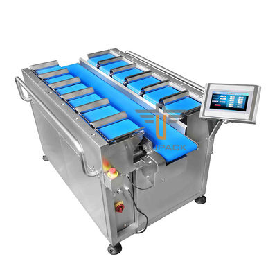 Wartegurt-Skala des Edelstahl-304 schnelle für das Wiegen des Frucht-Gemüses
