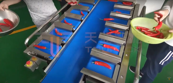 Chili Carrot Food Grade Siemens-Gurt-Wäger für unregelmäßiges Produkt