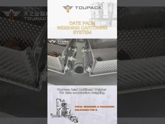 Kundenbezogenheits-Dattelpalme-Kasten-Verpackungsfließband Körnchen-Füllmaschine-automatisches Produktions-Fließband