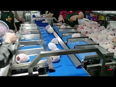 TOUPACK Apple Weighing 12-Kopf-Kombinationswaage mit Kartonierlinie und Kissenverpackungsmaschine