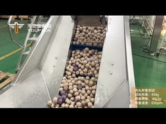 TOUPACK Gefrierte Fleischkugeln Wiege- und Verpackungssystem