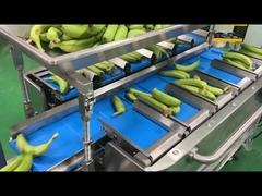 Fabrik Industrie Halb-Auto-Gitternetz-Tasche Gewichtung Zählung Netze Schneiden Verpacken Verpackung Maschine