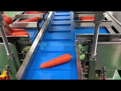 Semi-Auto Karottenwägen und Verpackungsmaschine Gemüse-Gitter-Tasche Verpackungsmaschine