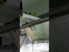 Maschine zum Verpacken von Salaten mit mehreren Kopfen