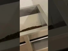 Kaffeebohnen-Lineare Waage-Füllmaschine