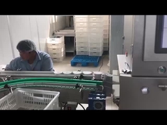 Automatische elektronische Röntgenprüfmaschine für die Lebensmittelindustrie