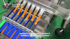 Industrie-Mehrschienen-Stick-Sachet-Verpackungsmaschine mit Mehrschienen-Scheckweger