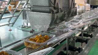 Automatische Wiege- und Verpackungslinie für gewürfelte Mangos | 50 Kartons/Min. | TOUPACK