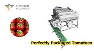 Hocheffizientes automatisiertes Wiege- und Verpackungssystem für Kirschtomaten und kleine Früchte