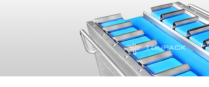 Hauptkombinations-Wäger PLC-Kontrollsystem-12 für Kalmar-Kegel-Wachtel-Eier 4